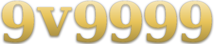 9v9999 logo